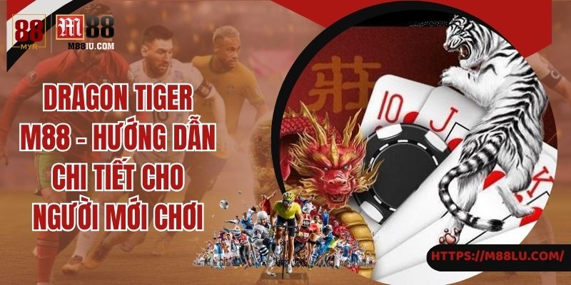 Dragon Tiger M88 - Hướng Dẫn Chi Tiết Cho Người Mới Chơi