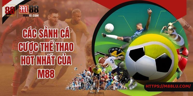 Các sảnh cá cược thể thao hot nhất của M88